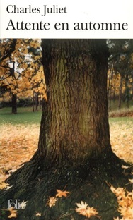 Couverture Attente en automne