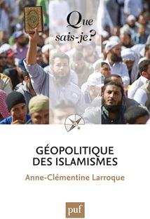 Couverture Que sais-je ? - Géopolitique des Islamismes