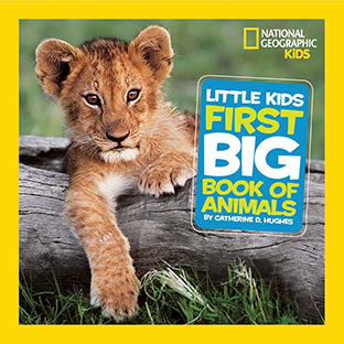 Couverture Little Kids First big book of Animals