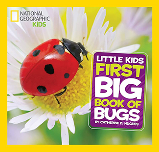 Couverture Little Kids First big book of Bugs