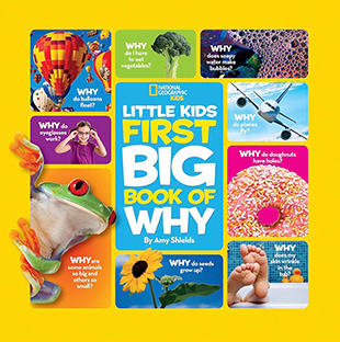 Couverture Little Kids First big book of Why
