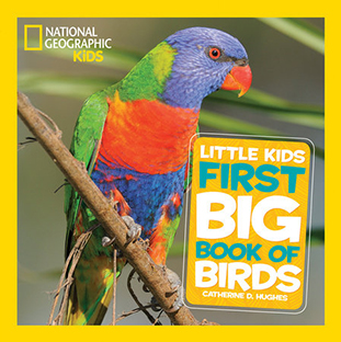 Couverture Little Kids First big book of Birds