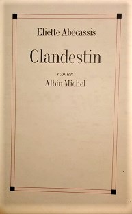 Couverture Clandestin