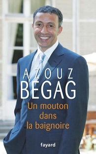 Couverture Un mouton dans la baignoire