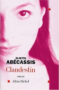 Couverture Clandestin
