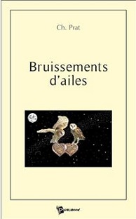 Couverture Bruissements d'ailes