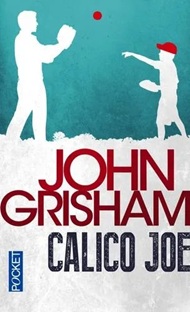 Couverture Calico Joe