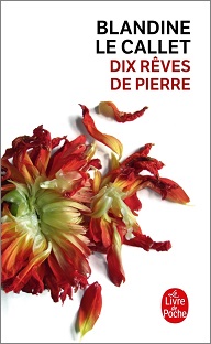 Couverture Dix rêves de pierre