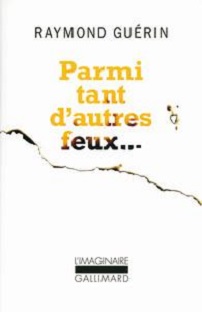 Couverture Parmi tant d'autres feux…