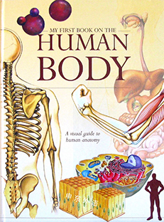 Couverture My first book on the human body