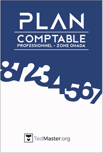 Couverture Plan comptable professionnel – Zone OHADA - Livre neuf