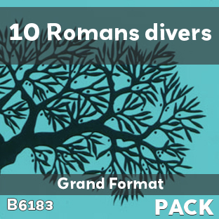 Couverture Pack 10 Romans divers - G.F., soit 1.000 F le livre