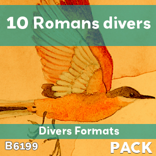 Couverture Pack 10 Romans divers formats (soit 450 F le livre)