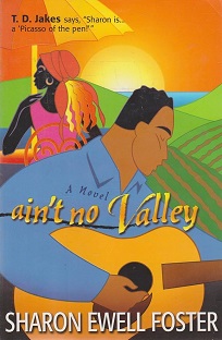 Couverture Ain't no valley