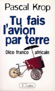 Couverture Tu fais l'avion par terre
