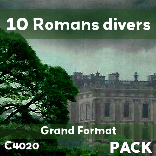 Couverture Pack de 10 romans divers Grand Format (soit le livre à 900 F)